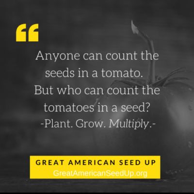 Seed Quote