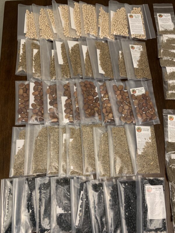 Sample of portioned seeds