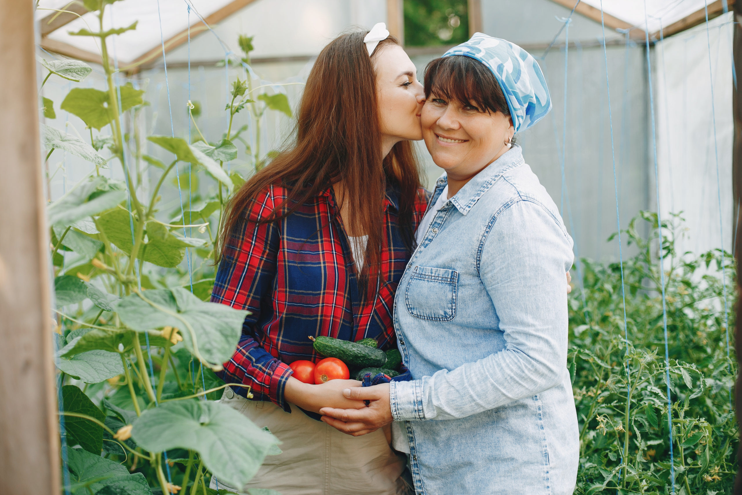 Adult daughter kisses her smiling mother on the cheek as they harvest tomatoes and cucumbers in their greenhouse garden.