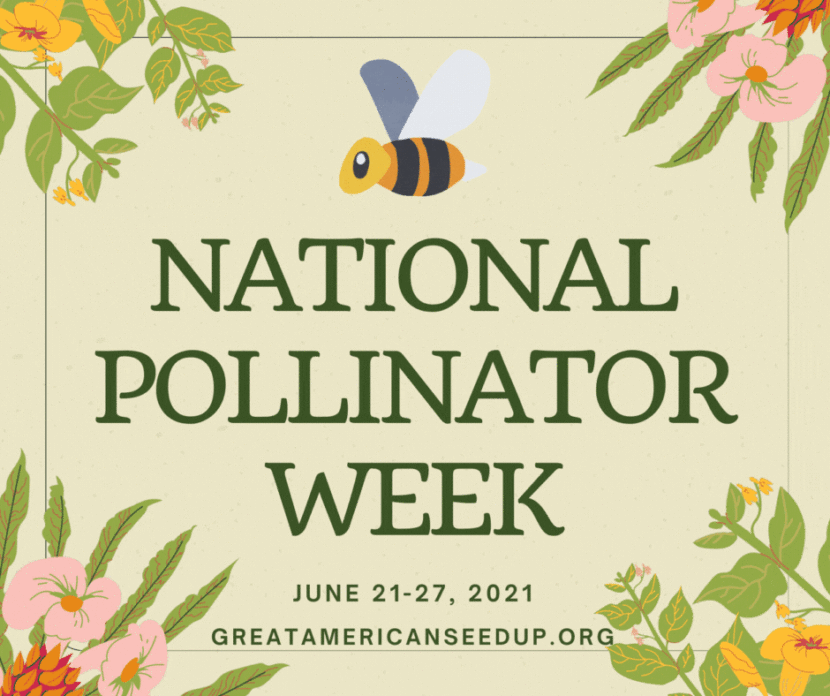 National Pollinator Week June 21 through 28, 2021