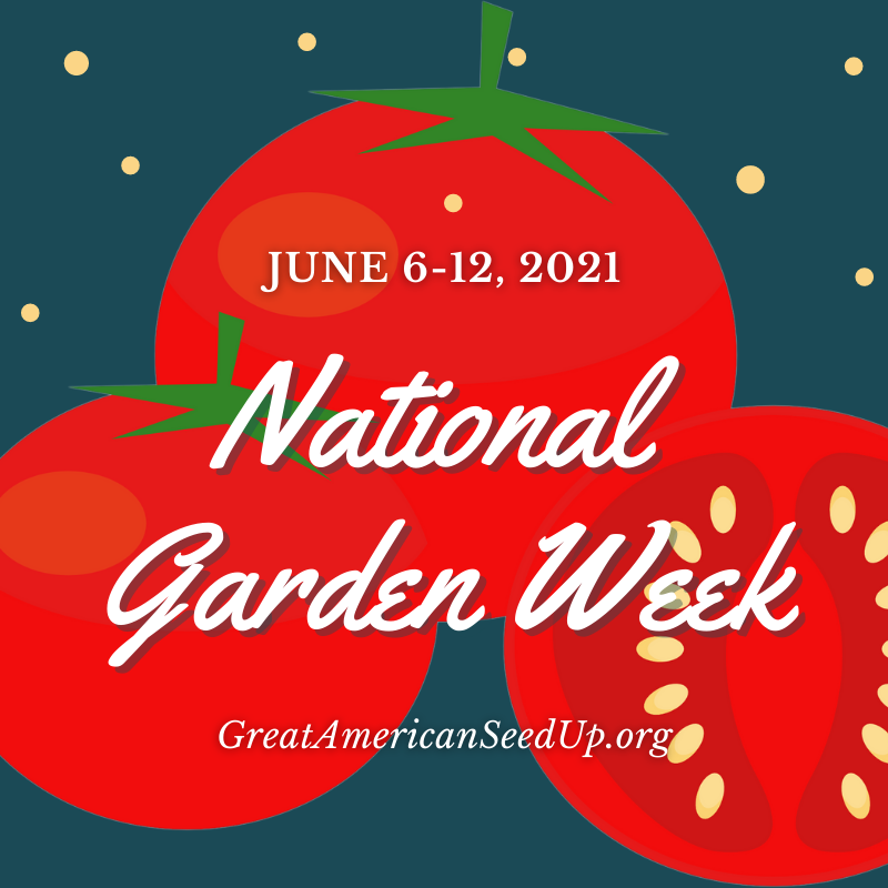 Graphic promoting National Garden Week June 6-12, 2021 with tomatoes on a teal blue background